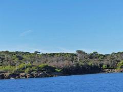 183 ILE DE PORQUEROLLES -1_000010